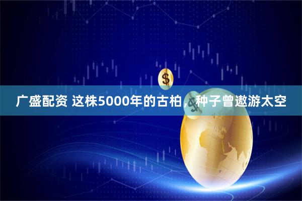 广盛配资 这株5000年的古柏，种子曾遨游太空