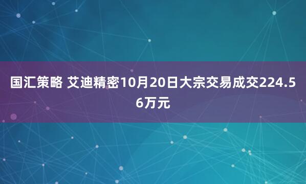 国汇策略 艾迪精密10月20日大宗交易成交224.56万元