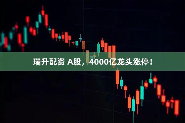 瑞升配资 A股，4000亿龙头涨停！
